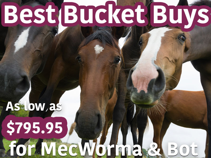 Discounted Horse Wormers